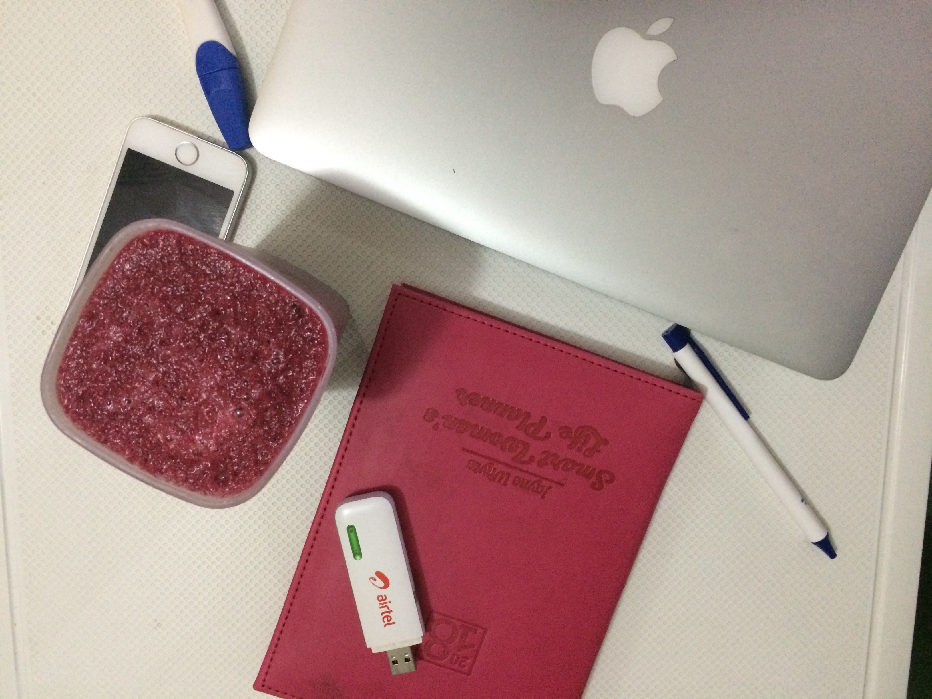 smart woman's life planner